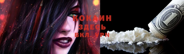 шишки Уссурийск