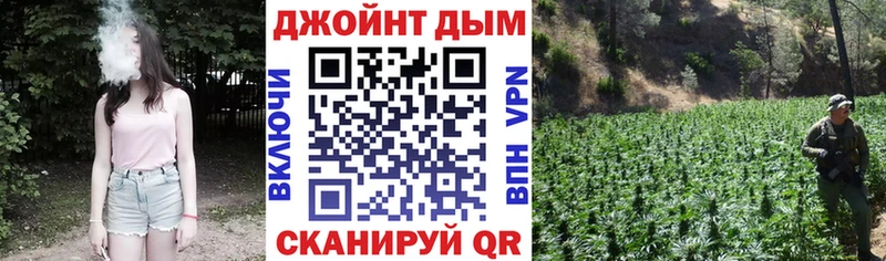 гидра сайт  Таштагол  Бошки марихуана конопля  купить наркоту 